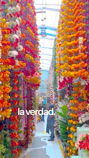 🛒 LA MERCED • CORAZÓN DE LA CIUDAD 🛒 Entre pasillos infinitos, aromas intensos y voces que nunca descansan, La Merced es el pulso comercial más antiguo de la ciudad. Un mercado que guarda historias, trabajo y vida diaria. ✨ #LaMerced #CDMX #MercadosDeMéxico #CulturaPopular #VidaUrbana #ViajerosMande | Soy Nativo