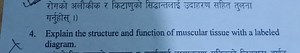 Explain the structure and function of muscular tissue with a la... | Filo