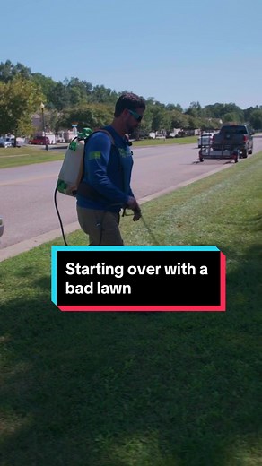 What would you do if your lawn was totally infested with unwanted plants? Sometimes the best solution is to burn it all to the ground and start over fresh #lawncare #lawn #lawnsoftiktok #grassgods