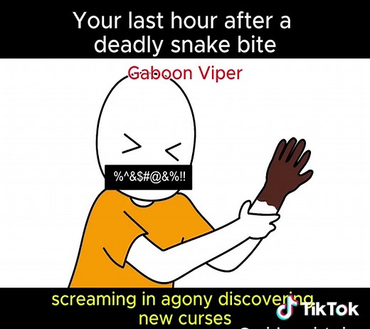 Your Last Hour After a Deadly Snake Bite 🐍 | What a Gaboon Viper’s Venom Really Does to the Human Body #GaboonViper #SnakeBite #Wildlife #VenomExplained #NatureScience