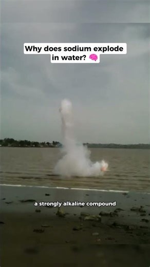 Why Sodium Explodes in Water? (Real Science) 🧠 #shorts