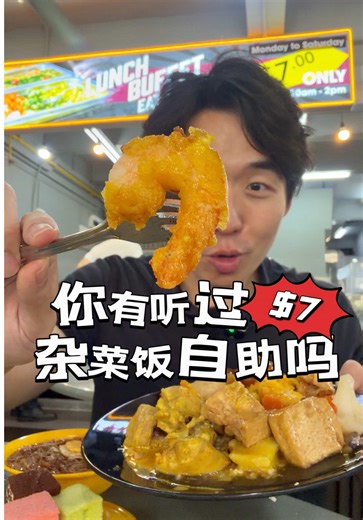 $7在新加坡还能吃到😍自助餐！新加坡很多地方的杂菜饭🍚随便点多了的话，应该都很容易超过这个价格吧～而且这个$7自助还有🦐海鲜！一盘吃完了还能拿🤩第二盘，第三盘..随便吃！这是真的不知道老板怎么赚💰啊～ 🔥 Eat All You Can $7.00 Lunch Buffet 📍131 Upper Paya Lebar Rd Tai Seng MRT Exit A 📍 28 Kelantan Rd Jalan Besar MRT Exit B #singapore #buffet #foodie #hawker #foodcourt