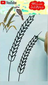 How to draw a barlay plant#drawing