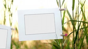 免費視頻 - 当前, 信息, 介绍, 地图