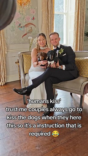 Couples Kiss Their Dogs During Photoshoot Moments
