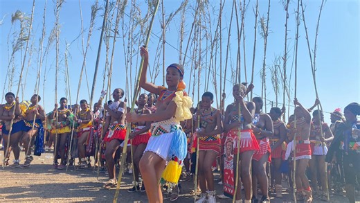 Human rights concerns mount over virginity testing at Reed Dance - SABC News - Breaking news, special reports, world, business, sport coverage of all South African current events. Africa's news leader.