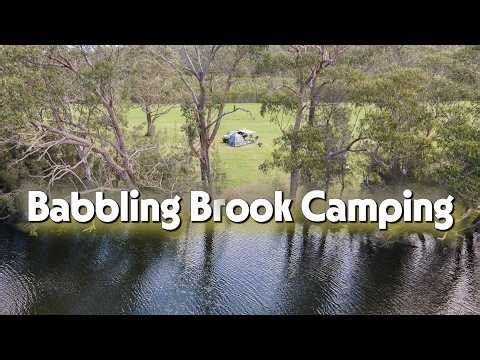 Babbling Brook (Hipcamp) on the Wandandian Creek