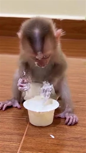 Baby Monkey's Messy Eating Adventure