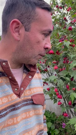 Plantas en casa: cómo darle vida a tu hogar con plantas