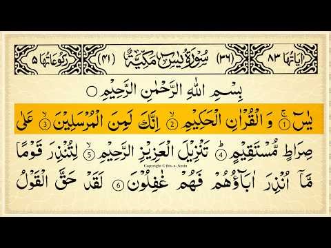 Surah Yasin (Yaseen) Full With Arabic Text | Sheikh Alaa Aql | Ep - 043 #surahyaseen