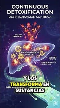 ¿Qué hace el hígado?