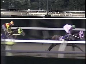 2004 帝王賞（アドマイヤドン）