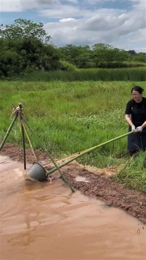 Paddy Field Water Diversion Method and Irrigation Skill