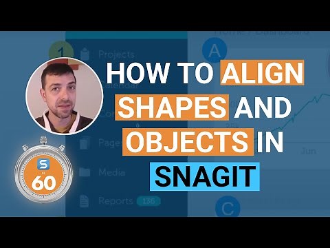 How to Align Objects easily and Use Canvas Snapping in the Editor - Snagit in 60 Seconds