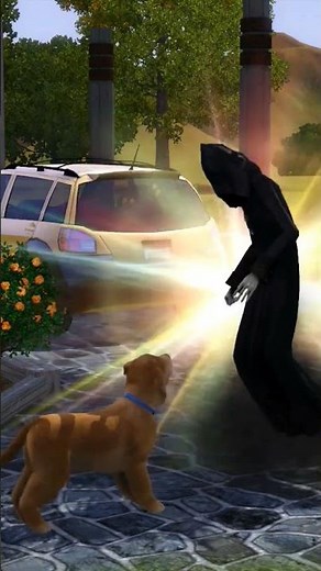 when your pet dies in Sims 3 😥 #sims #sims3 #sims4