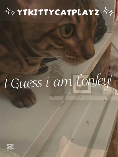Lonley - Lonley (again) - by me :)(kinda lazy) ||~trend~|| #catsonlychannel :3 #lazyedit