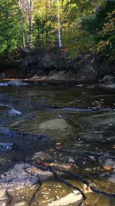 93K views · 1.5K reactions | In Pictured Rocks, the tranquil forests offer truly one-of-a-kind hikes. Find pink sand beaches, gorgeous waterfalls, rock castles, historic lighthouses, and more 量  : @musicsmygf | Pictured Rocks Cruises | Facebook