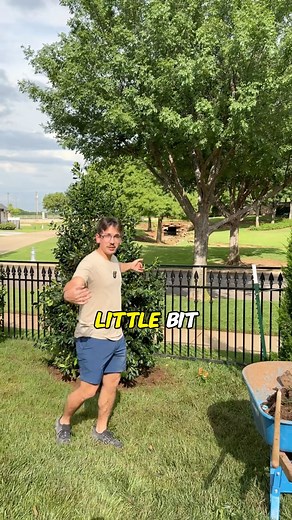 68K views · 372 reactions | Keeping your backyard private  #gardening #plants #garden #landscaping #funny #landscape #summer #LandscapeDesign #lawncare #tips | Five Stones Landscaping | Facebook