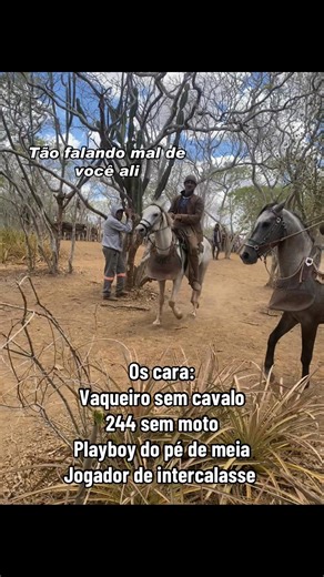 Vaqueiro: A Cultura do Nordeste e Suas Raízes