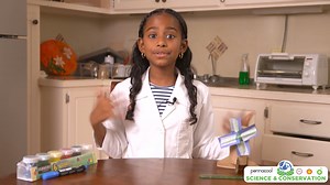 🌬️ Harness the Power of Wind! 🌬️ Learn how to build your very own windmill and explore the wonders of renewable energy! 🔧 Project Idea: Create a windmill model that demonstrates how wind energy can be converted into usable power. 🎉 Exciting Prizes Await! - Grand Prize: A family trip to Tobago! - 2nd Prize: A Five Island Gift Card—2 free admissions & 10 arcade games! - 3rd Prize: A Fun Station Gift Card! 💡 How to Enter: 1️⃣ Visit Pennacool.com’s Science and Conservation portal to earn 500 po