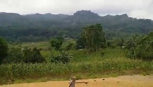 1.2M views · 14K reactions | WATCH: Rapid gunshots and explosions are heard from a distance as soldiers from the Philippine Army and suspected New People's Army (NPA) rebels continue to clash in Barangay Trinidad, Guihulngan City. As of this posting, the firefights have lasted for more than 18 hours.  via Paul Lauro/ CDN Digital | Yes FM Dumaguete | Facebook