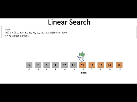 Linear Search Algorithm Animation