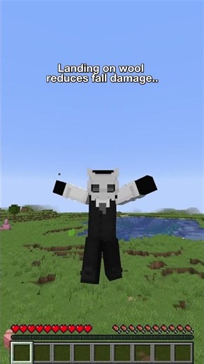 Minecraft MYTHS That Sound FAKE 😱