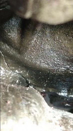 VEHICLE MAKES ROARING NOISE WHEN DRIVING: Infinity QX60, transfer case