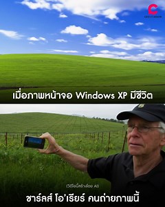 990K views · 7.4K reactions | ภาพ ‘Bliss’...