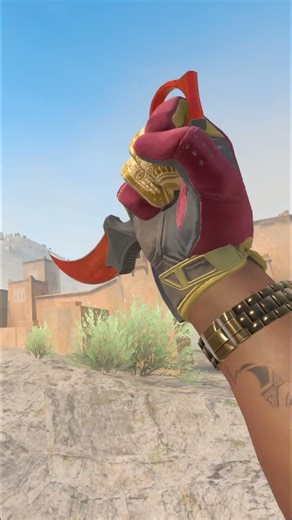 MOST SEXY 10000$ KNIFE & GLOVE COMBO in CS2