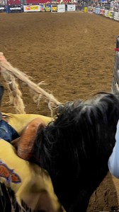 Good Medicine Bucking Horses at the Yakima PRCA Rodeo. 951 Stacy and 010 Indigenous Creature goodmedicinebuckinghorses.com @goodmedicinebuckinghorsesllc Bronc Riding Nation Aces Wild Pro Rodeo PRCA ProRodeo PRCA Columbia River Circuit #dougiehall #broncriding #horsesofinstagram #2025 #horses #nativeamericancowboy #rodeio #rodeo #fyp #nativetiktok | Dancin’ Dougie Hall
