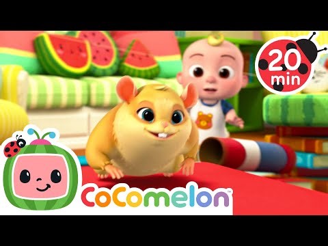 Jellybean's Amazing Race 🐹 | CoComelon 🍉 | Nursery Rhymes For Kids