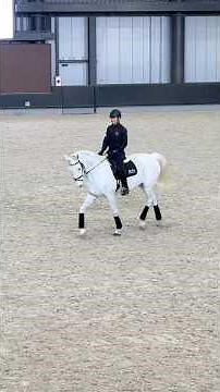 ハミ受けの基本的な考え方 第4回JRA馬術フォーラム 馬場馬術 講師 佐渡一毅さん