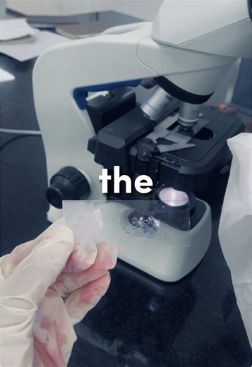 Exploring Biomedical Science Techniques in Microbiology