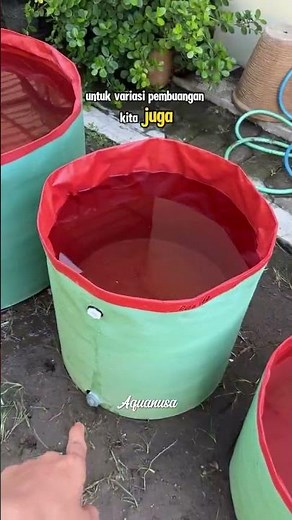 Budidaya Ikan Lele, Nila & Gurame Pakai Kolam Terpal Tanpa Rangka #kolamikan #kolamterpal #kolamterp