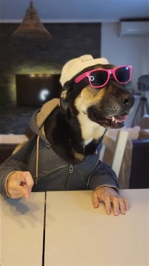 Petit pierre feuille ciseaux.