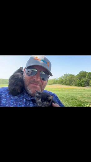 Chaco builds pools and collects cats. At this point, we’re calling him Catco. 😹💦 #ChacoTuesday #Catwhisperer #AlohaPoolsandSpas | Aloha Pools USA - Jonesboro