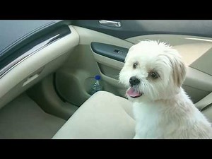 Honda CR-V 2015 Complete disable traction control and stability control