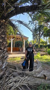 Jardineando ando con esta orilladora 4 en 1 de la Marca @scheppach_group que conseguí en @kruuse.cl . Enserió se las recomiendo bastante, y también tienen otras Herramientas que no había visto en otras marcas como lijadora oscilante de banco, y unos kit buenísimos. Ve a la página y me cuentas. Tengo tanto que hacer aquí, que recibo todos los consejos de jardinería y paisajismo que me puedan dar Igual les iré mostrando todos los cambios y mejoras que siga dando tanto en el interior, como el exter