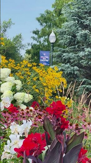 Not Just a College Campus | American University in Washington, DC