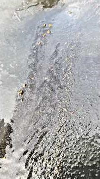 Chasing Gold Along the Endless River Plains”#ChasingGold #RiverProspecting #GoldHunter #Wildshorts