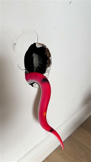 Can’t believe this scary mouse hack actually works 😳🐭