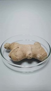 5.1K views · 25 reactions | Smart Garden on Reels | Facebook