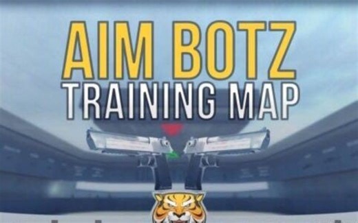 一个视频教会你aim botz的全部使用方式（练枪图必备）