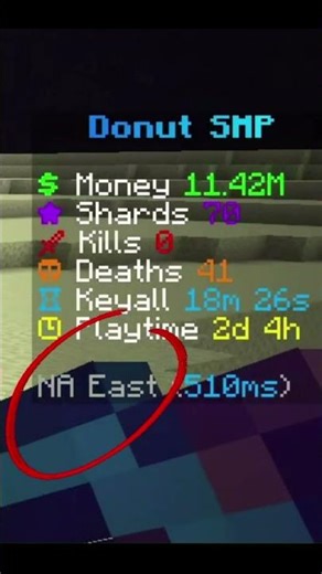 A TREASURE HUNT For Those On The Donut SMP!