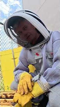 Another common hive problem 🐝