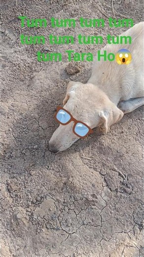 Tum Tum song7000Use the edit icon to pin, add or delete clips. #ghostingame