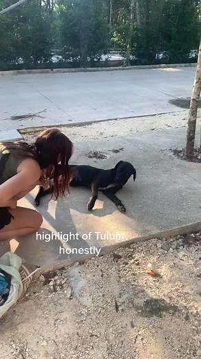 michelle mylett (@michellemylett)’s videos with Funny Song - Sounds Reel