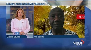 Equity and Inclusivity Report