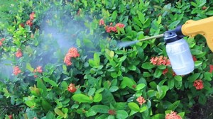 Electric Diatomaceous Earth Duster Compatible for DeWalt 20V Battery(Battery Not Included), Garden Dust Applicator with 1L Capacity and 7.5" Nozzle, Versatile Leaf Blower & Powder Sprayer